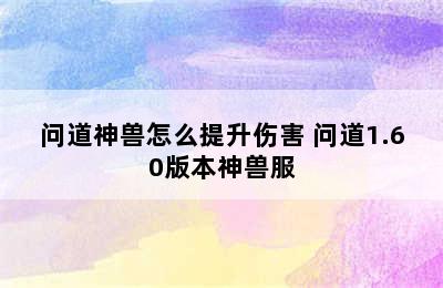 问道神兽怎么提升伤害 问道1.60版本神兽服